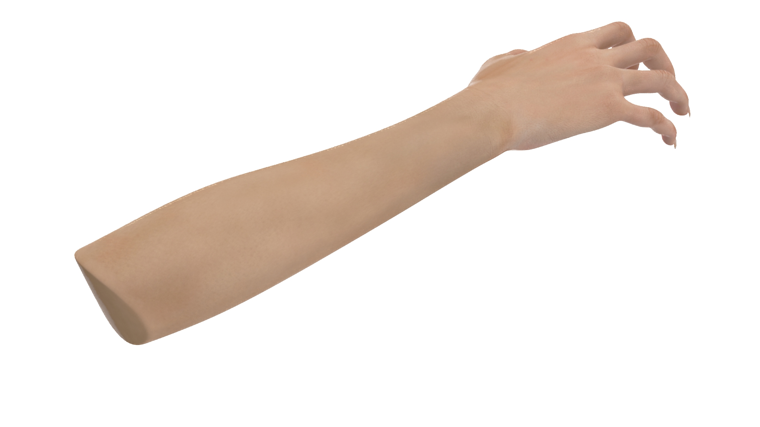 3D model European Woman Hand Rigged for Cinema 4D