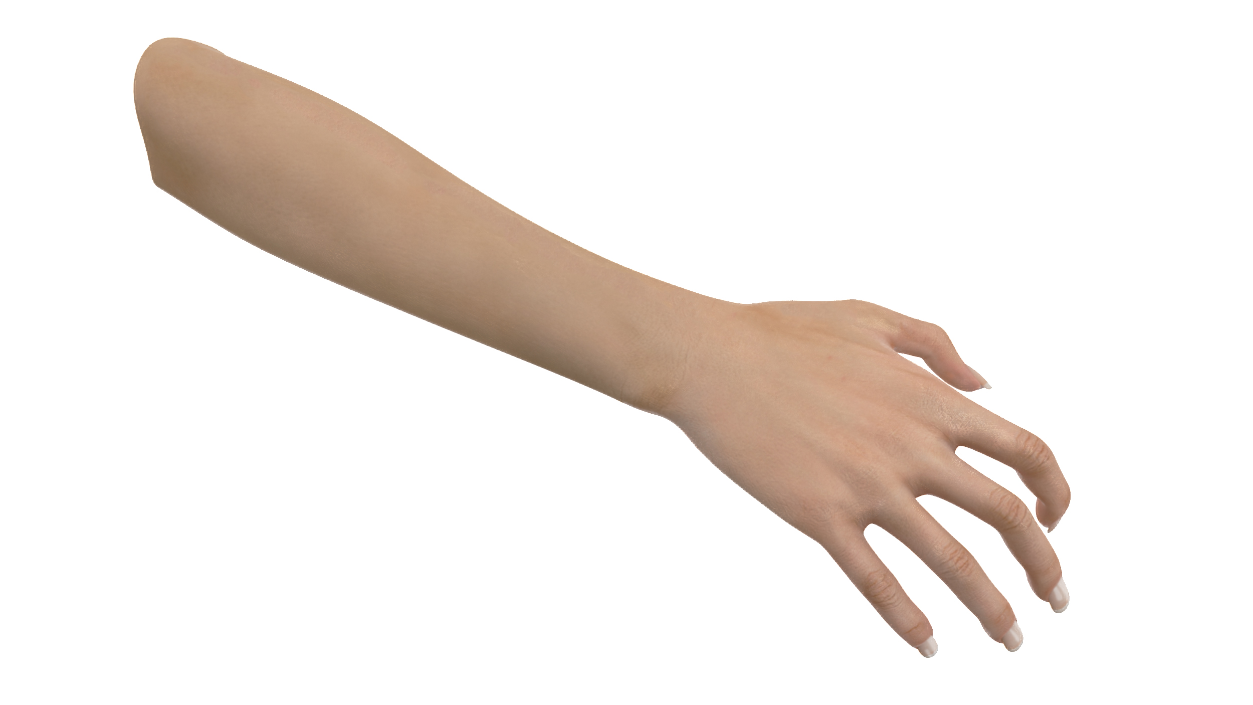 3D model European Woman Hand Rigged for Cinema 4D