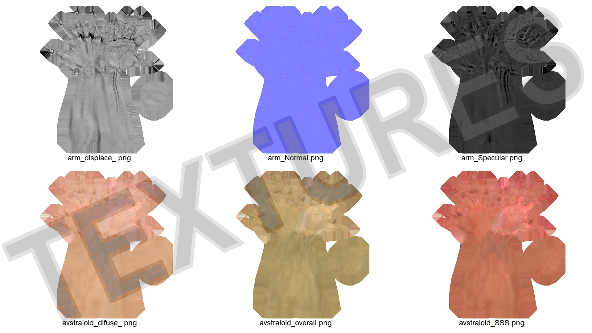3D model European Woman Hand Rigged for Cinema 4D