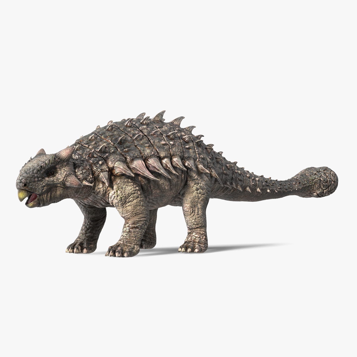 3D Alkylosaurus of Tropical Habitat Rigged for Cinema 4D model