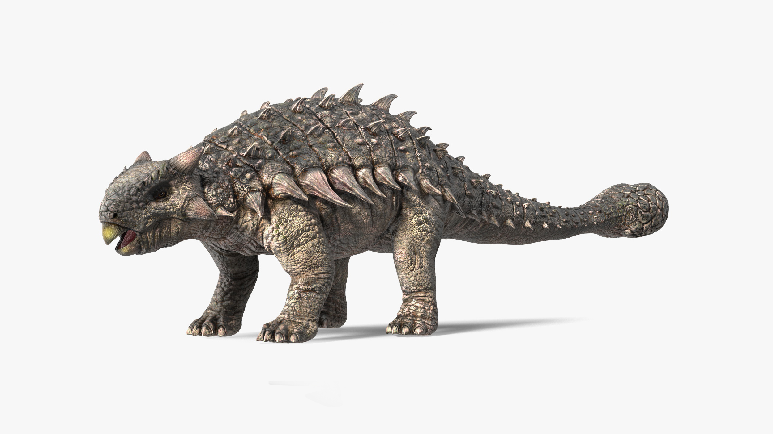 3D Alkylosaurus of Tropical Habitat Rigged for Cinema 4D model