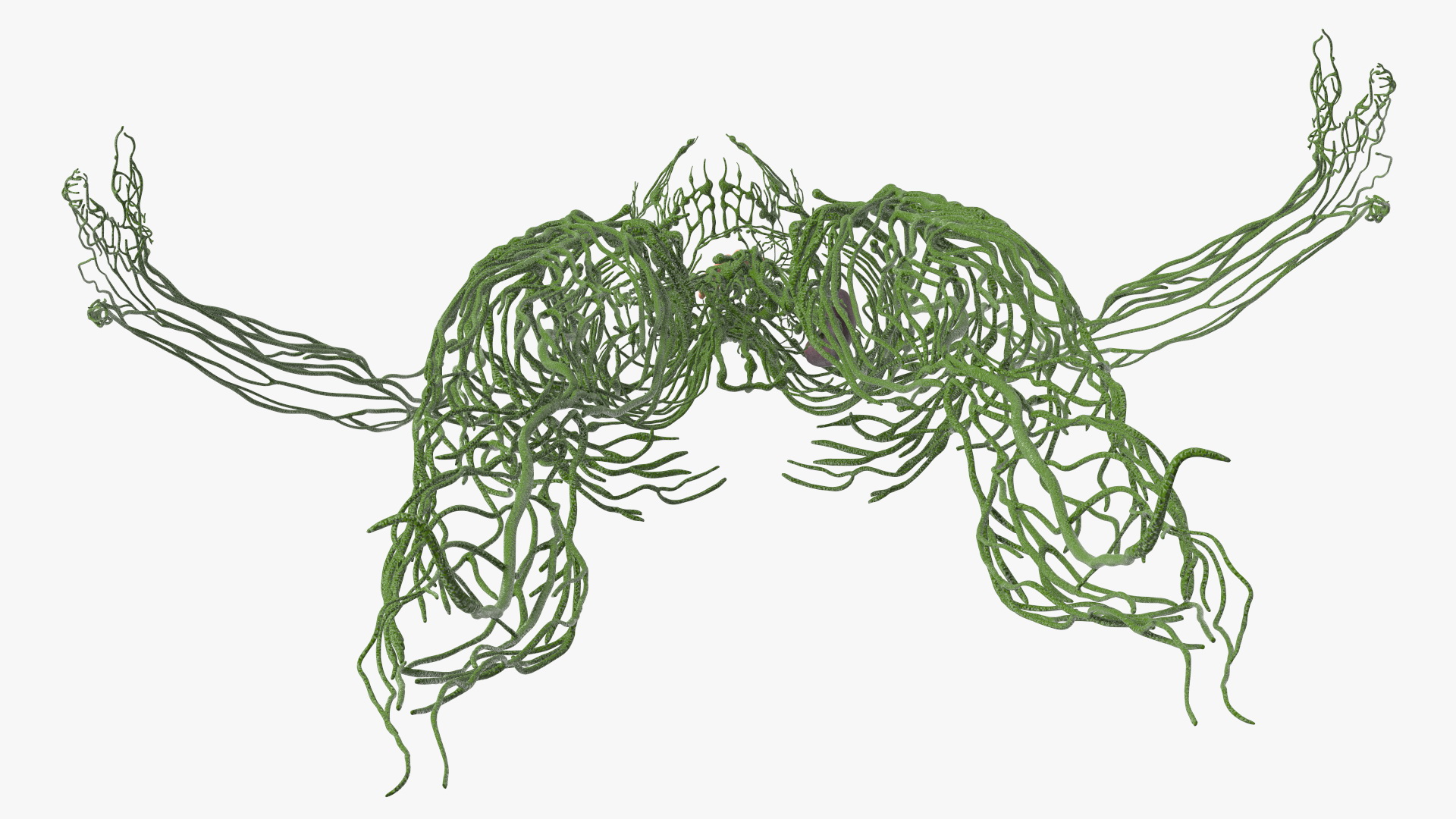 3D Young Boy Lymphatic System
