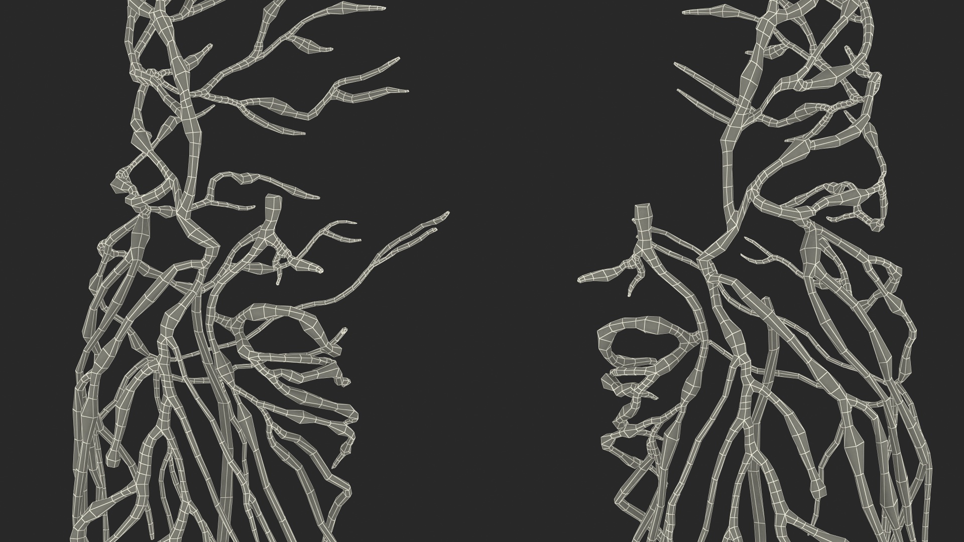 3D Young Boy Lymphatic System