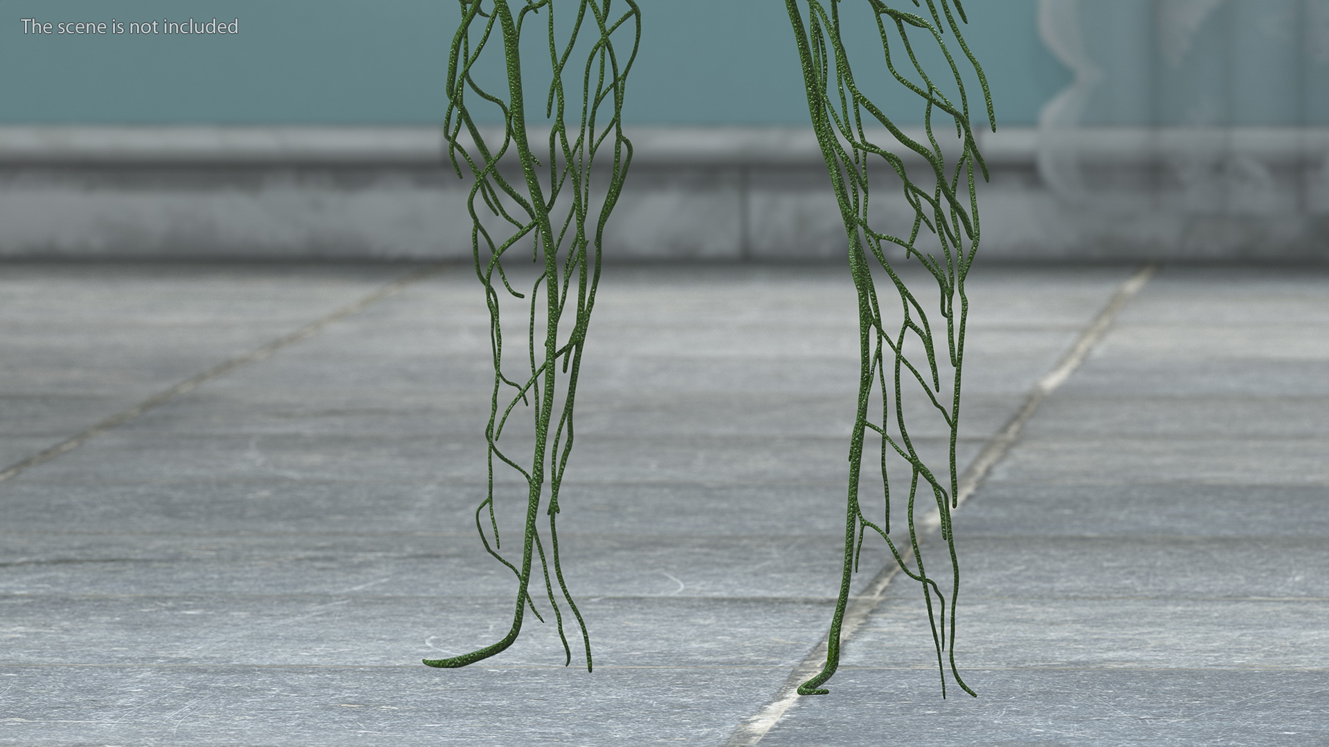 3D Young Boy Lymphatic System