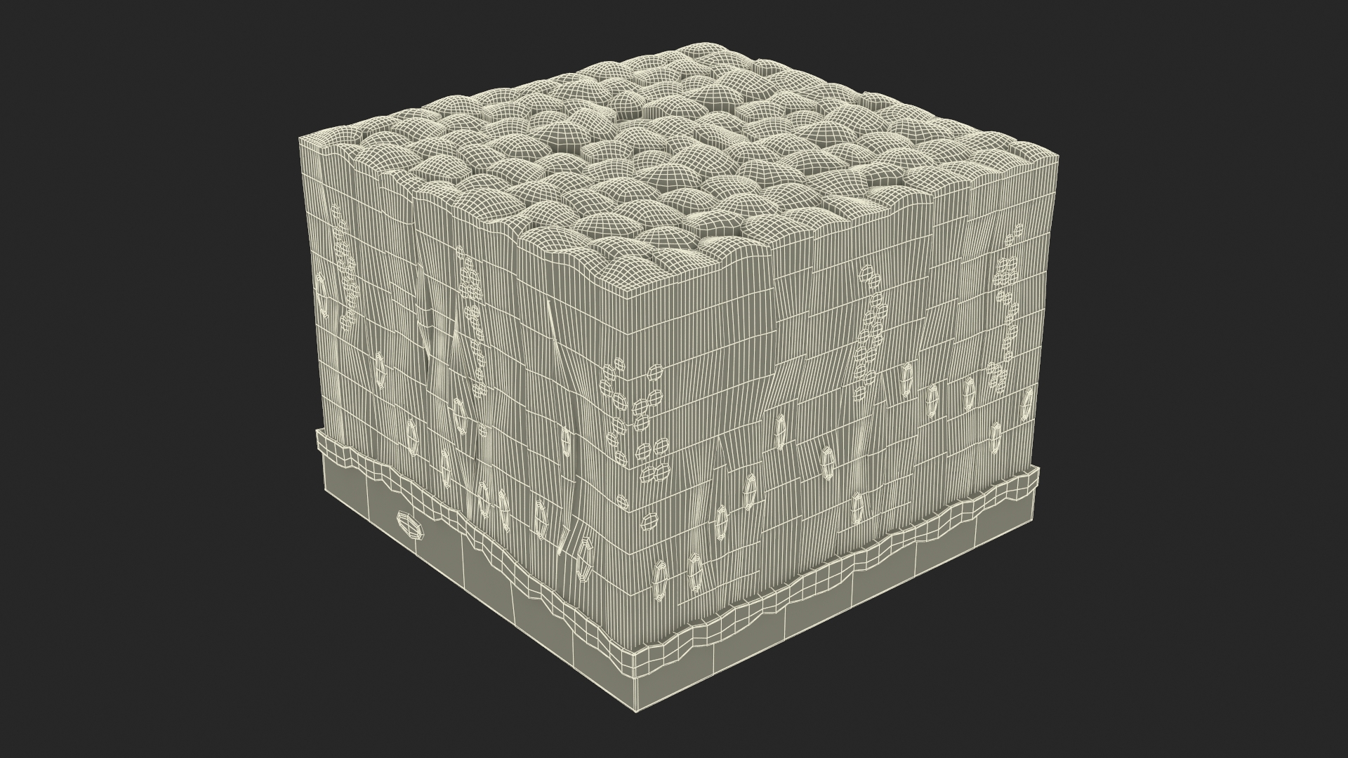 3D model Glandular Epithelium
