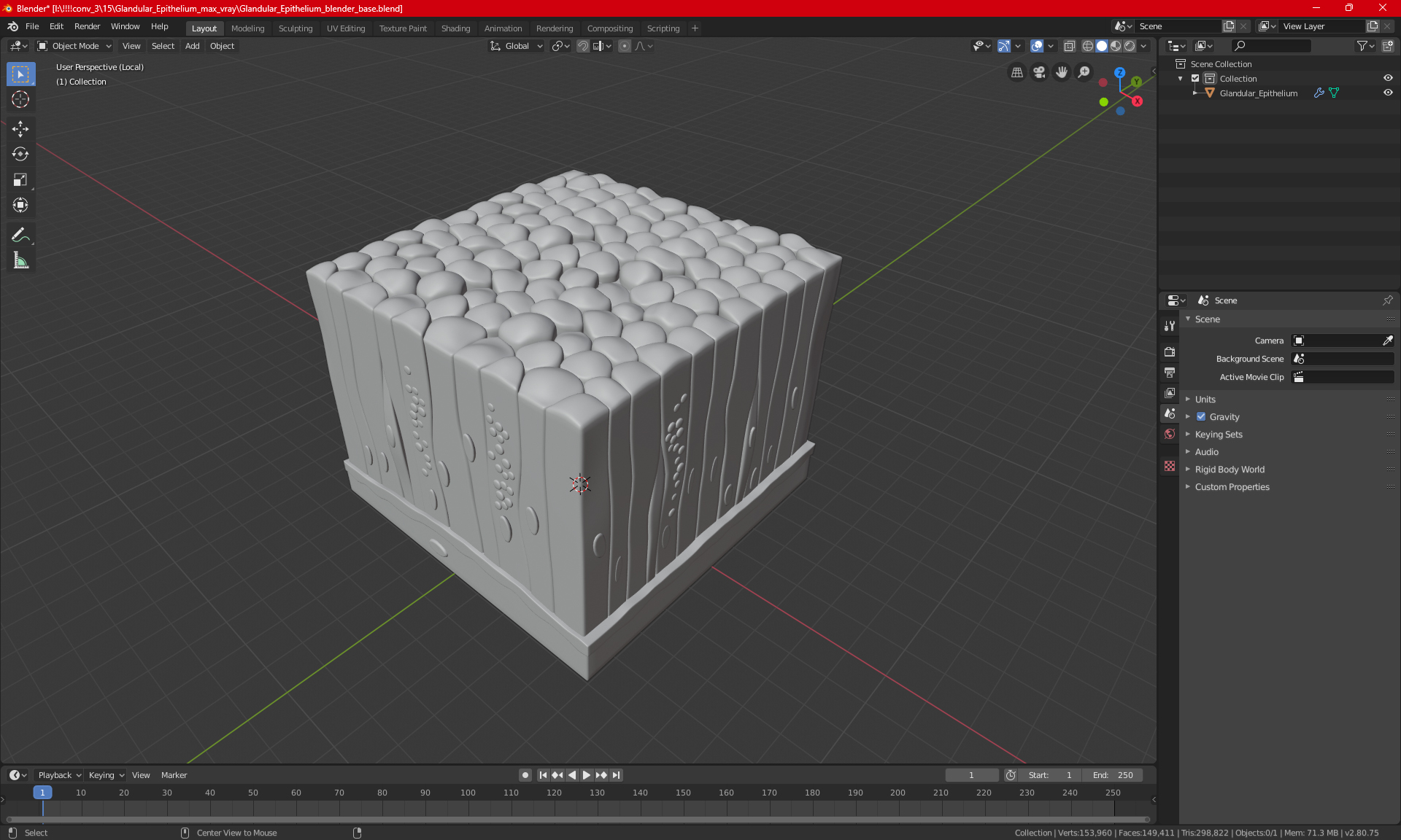 3D model Glandular Epithelium