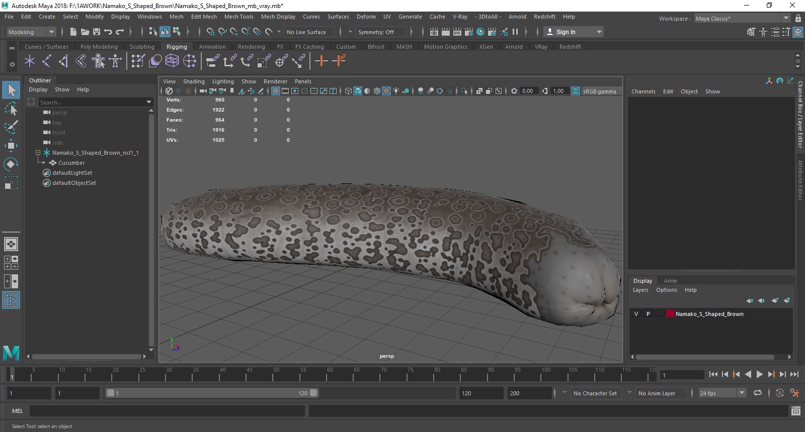 3D Namako S Shaped Brown