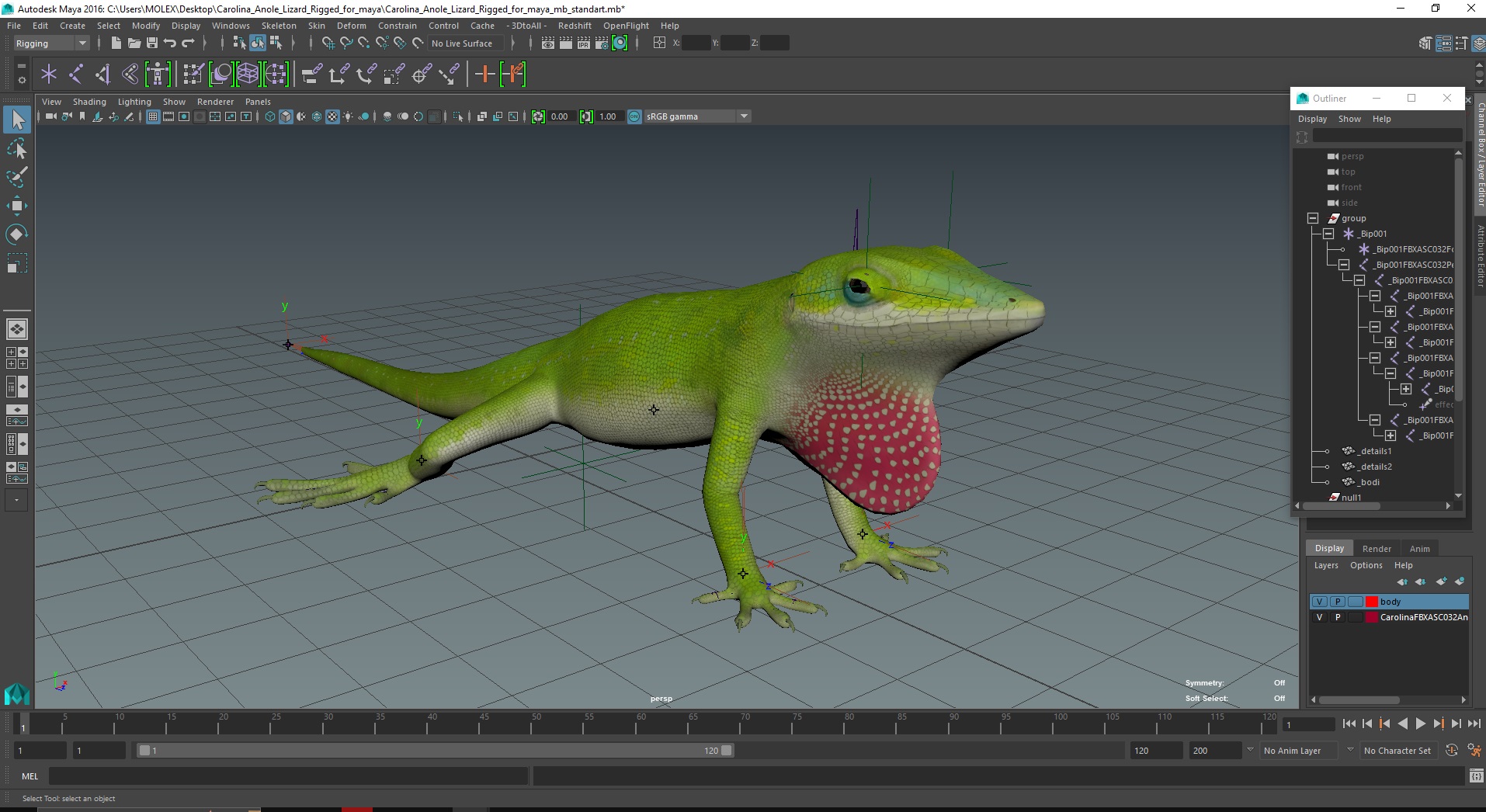 Carolina Anole Lizard Rigged for Maya 3D