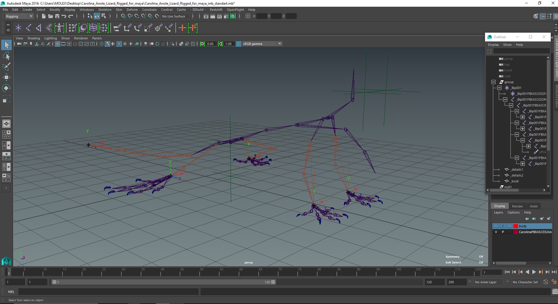 Carolina Anole Lizard Rigged for Maya 3D