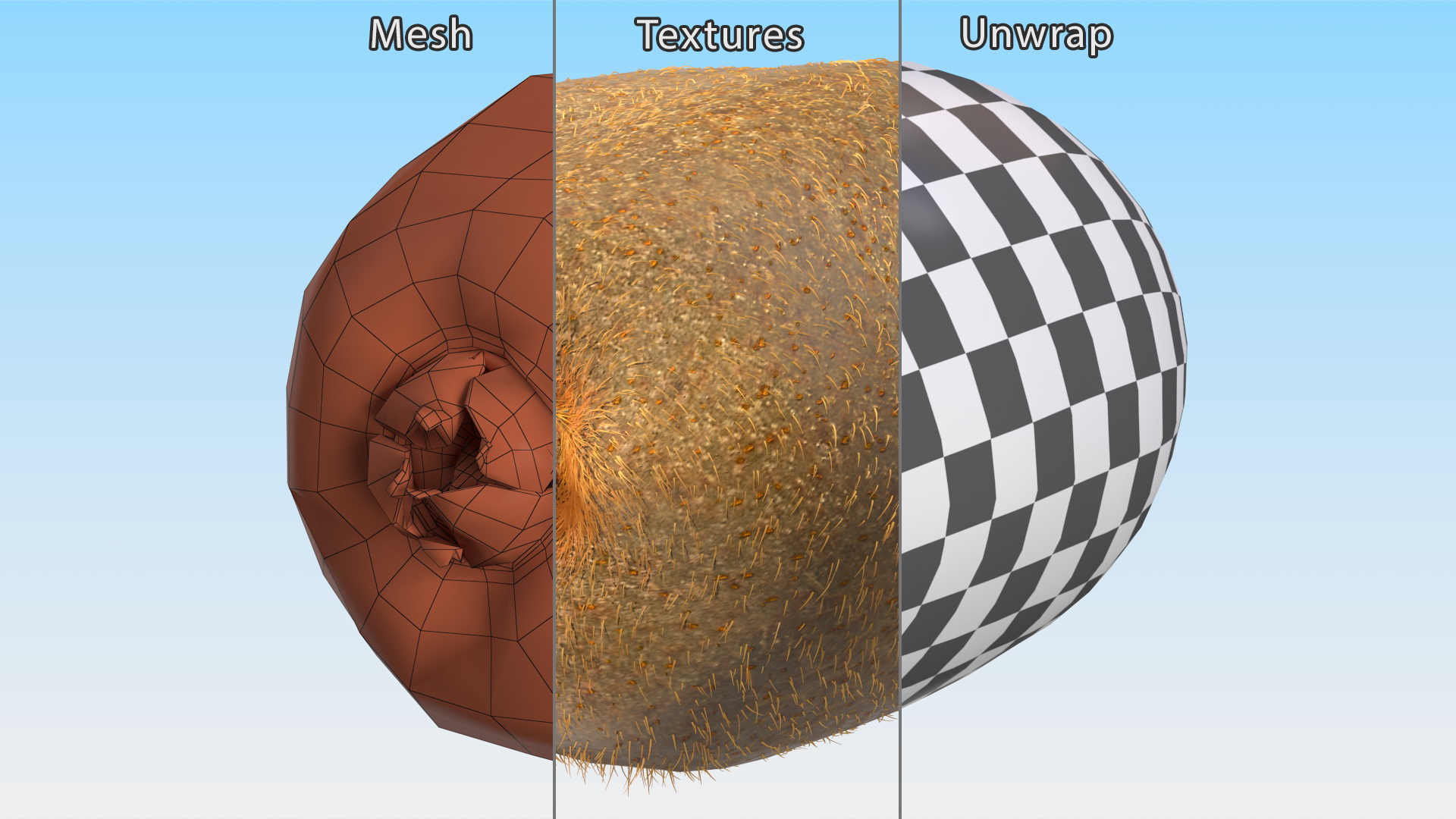 3D Tropical Fruit Kiwi with Fur model