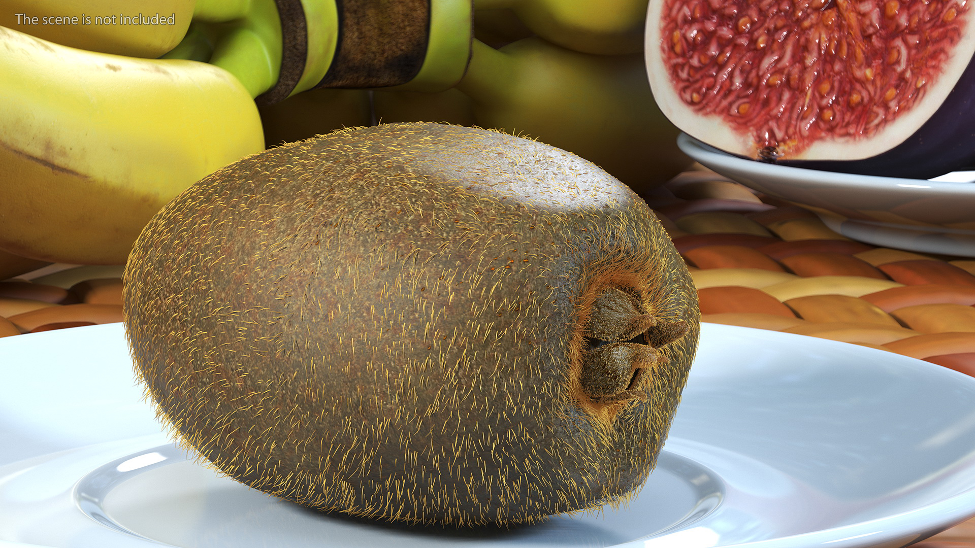 3D Tropical Fruit Kiwi with Fur model