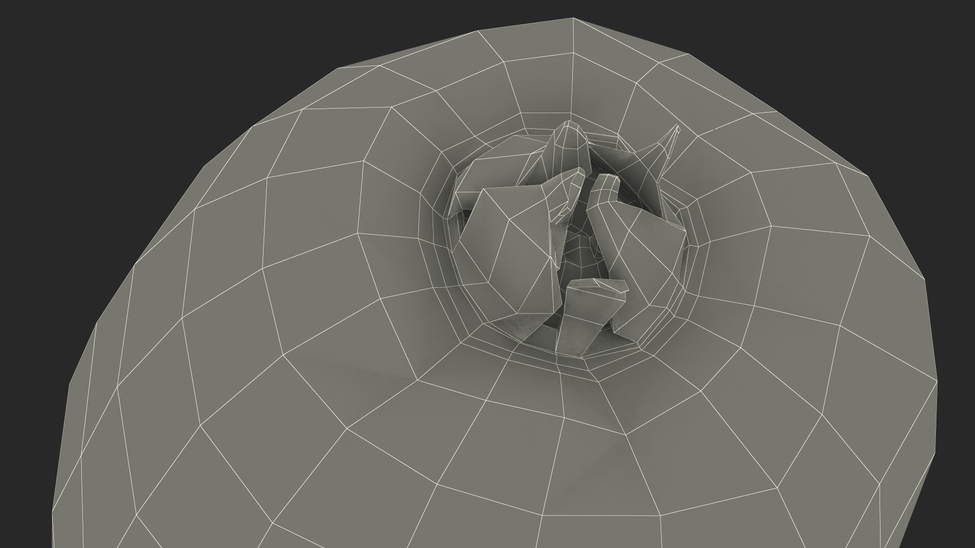 3D Tropical Fruit Kiwi with Fur model