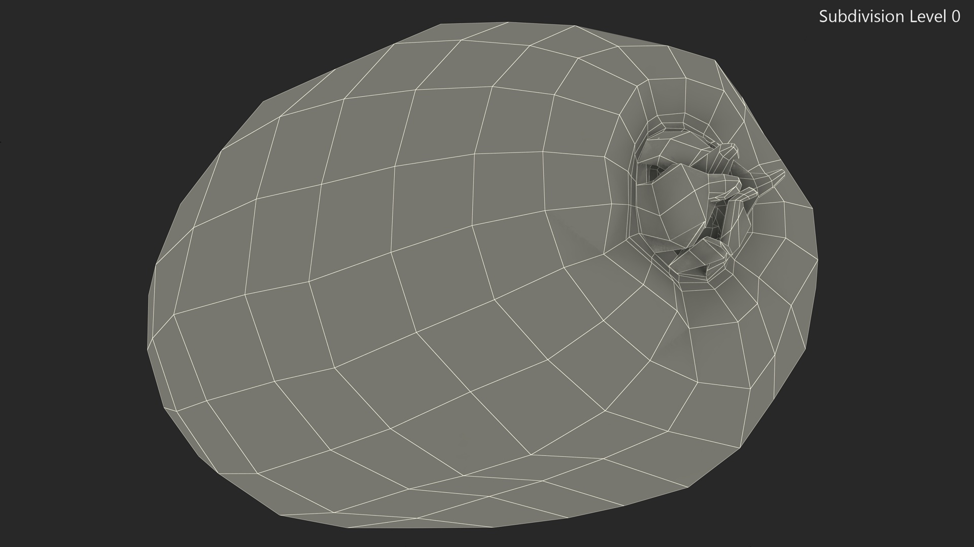 3D Tropical Fruit Kiwi with Fur model