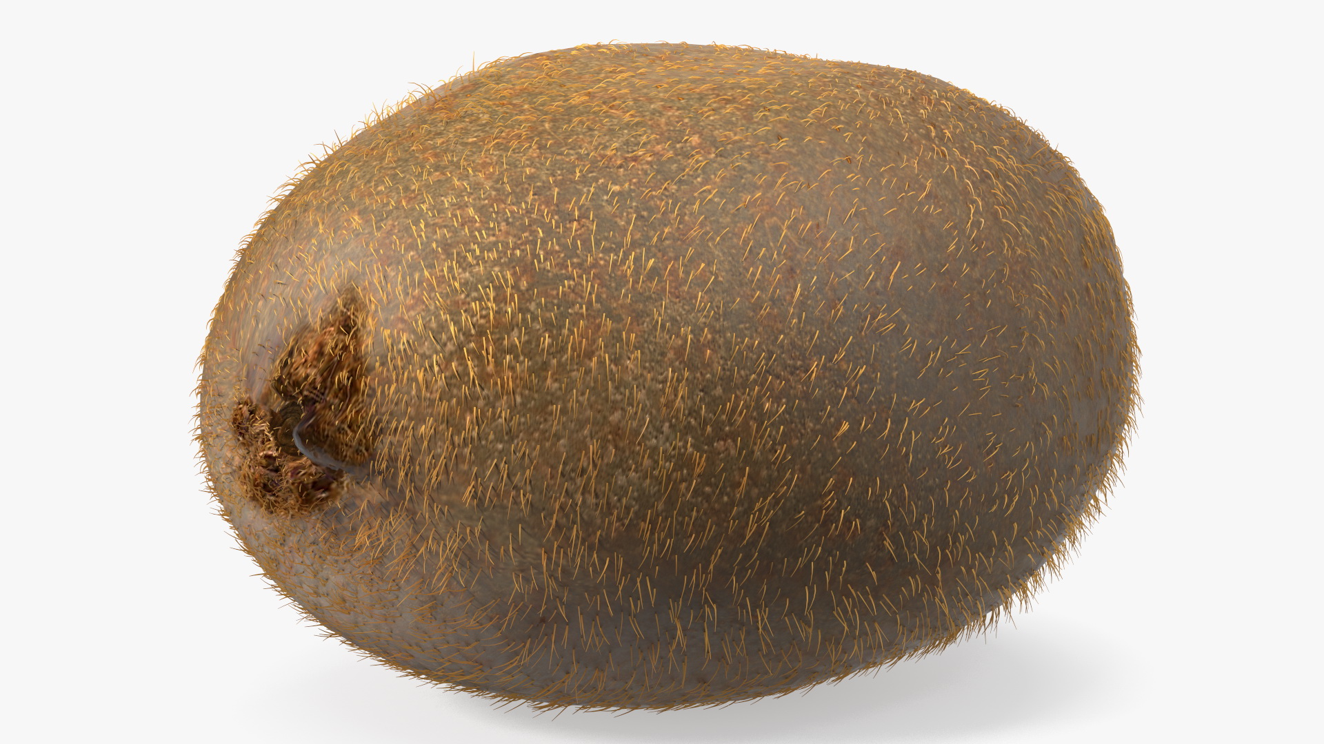 3D Tropical Fruit Kiwi with Fur model