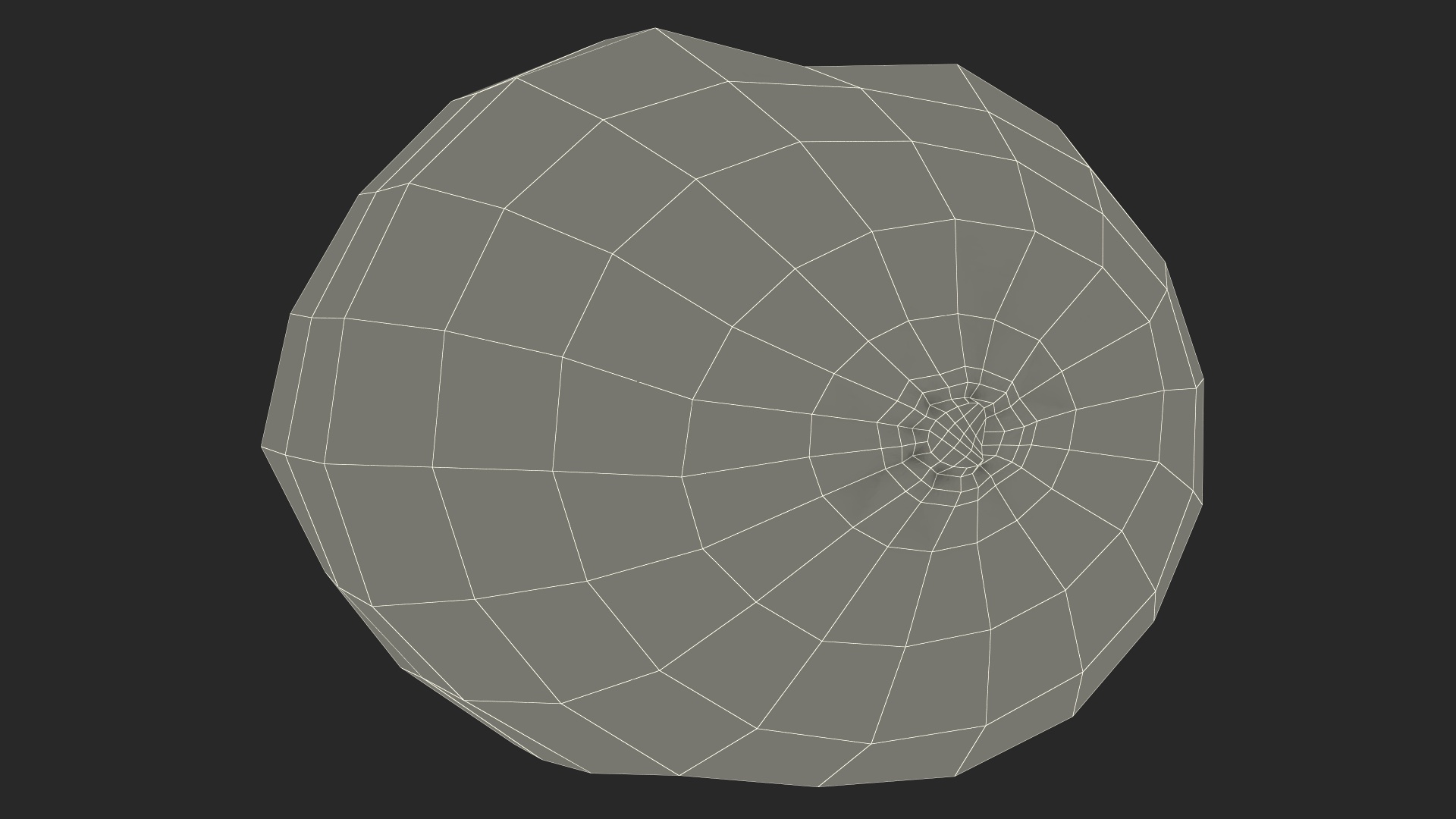 3D Tropical Fruit Kiwi with Fur model