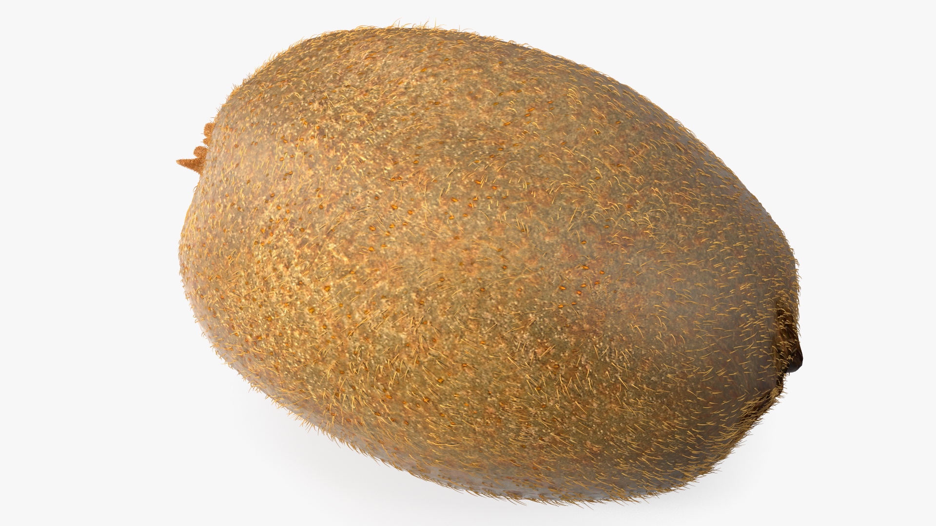 3D Tropical Fruit Kiwi with Fur model