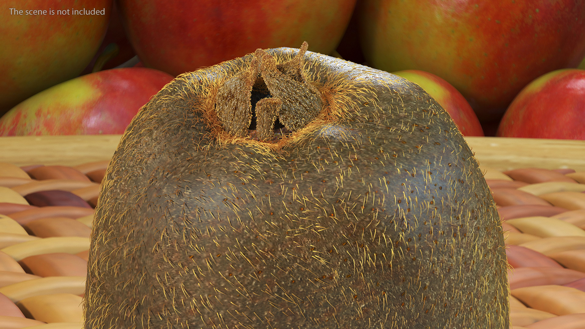 3D Tropical Fruit Kiwi with Fur model
