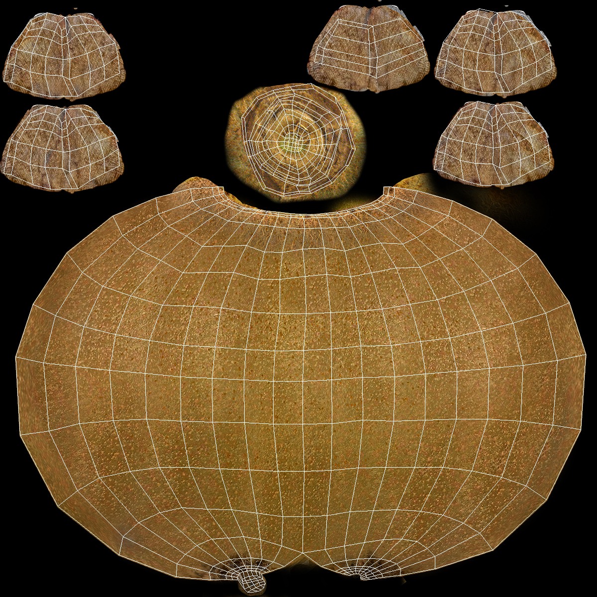 3D Tropical Fruit Kiwi with Fur model