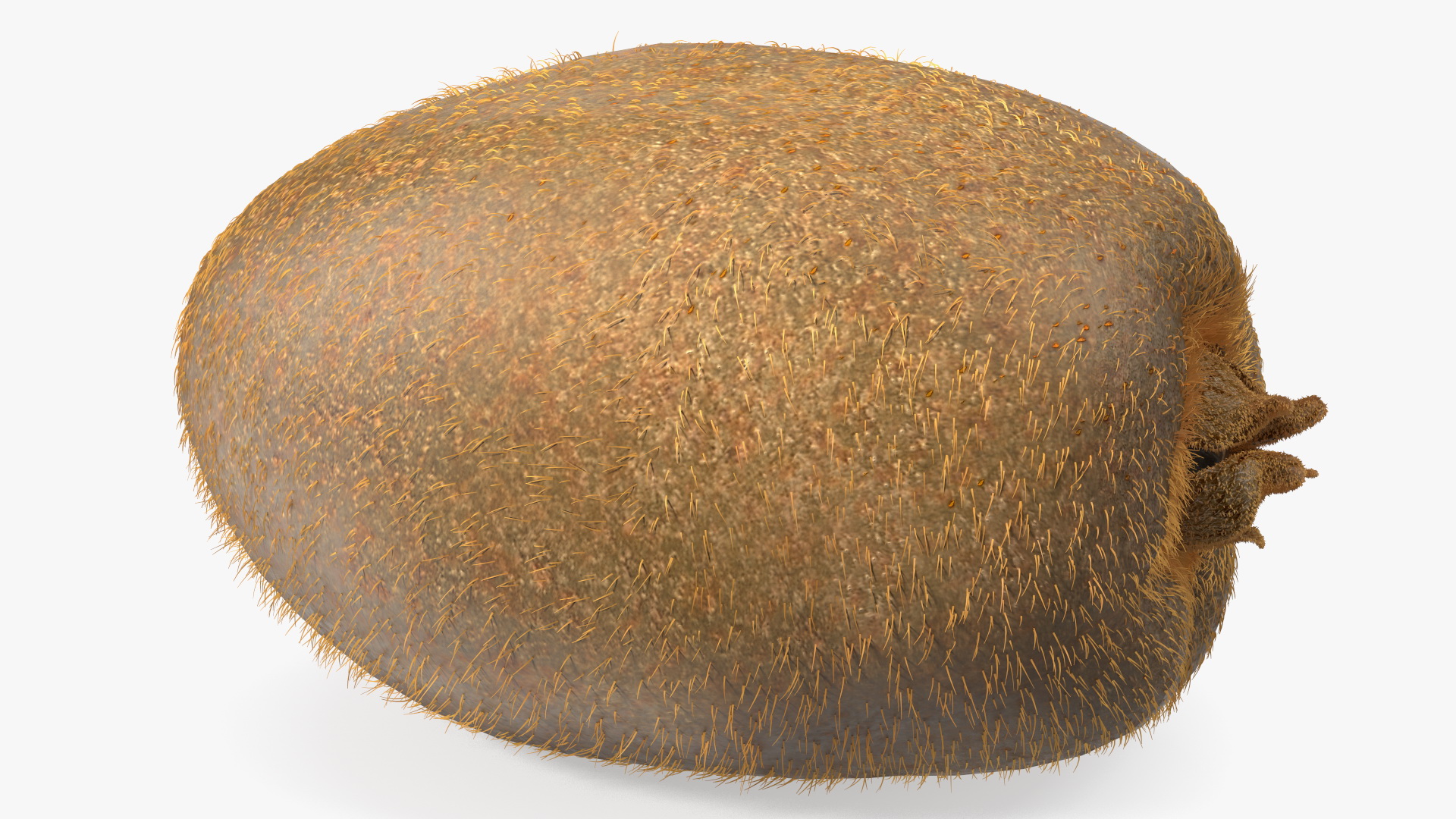 3D Tropical Fruit Kiwi with Fur model