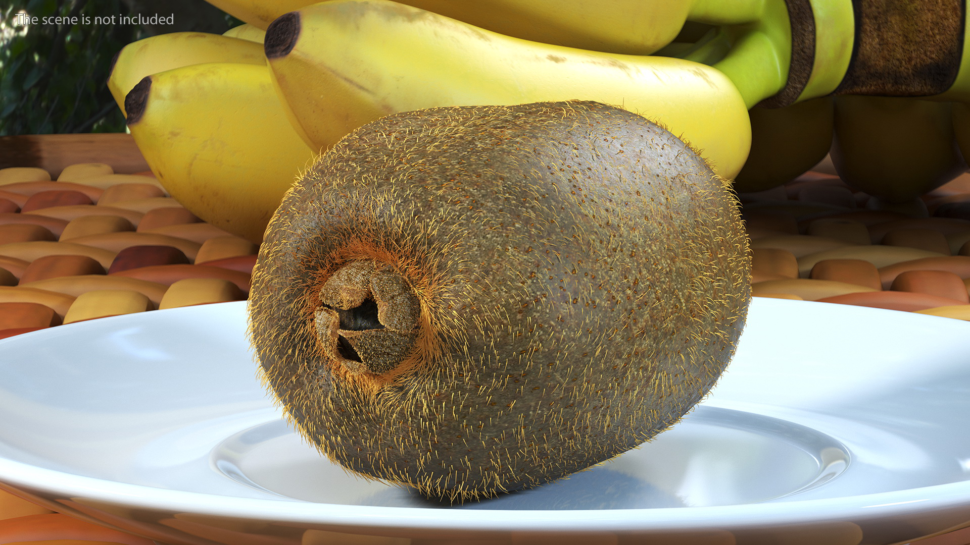 3D Tropical Fruit Kiwi with Fur model