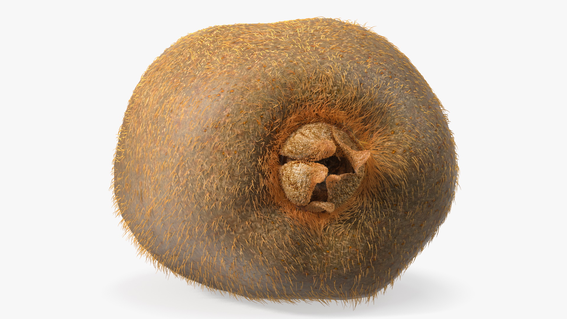 3D Tropical Fruit Kiwi with Fur model