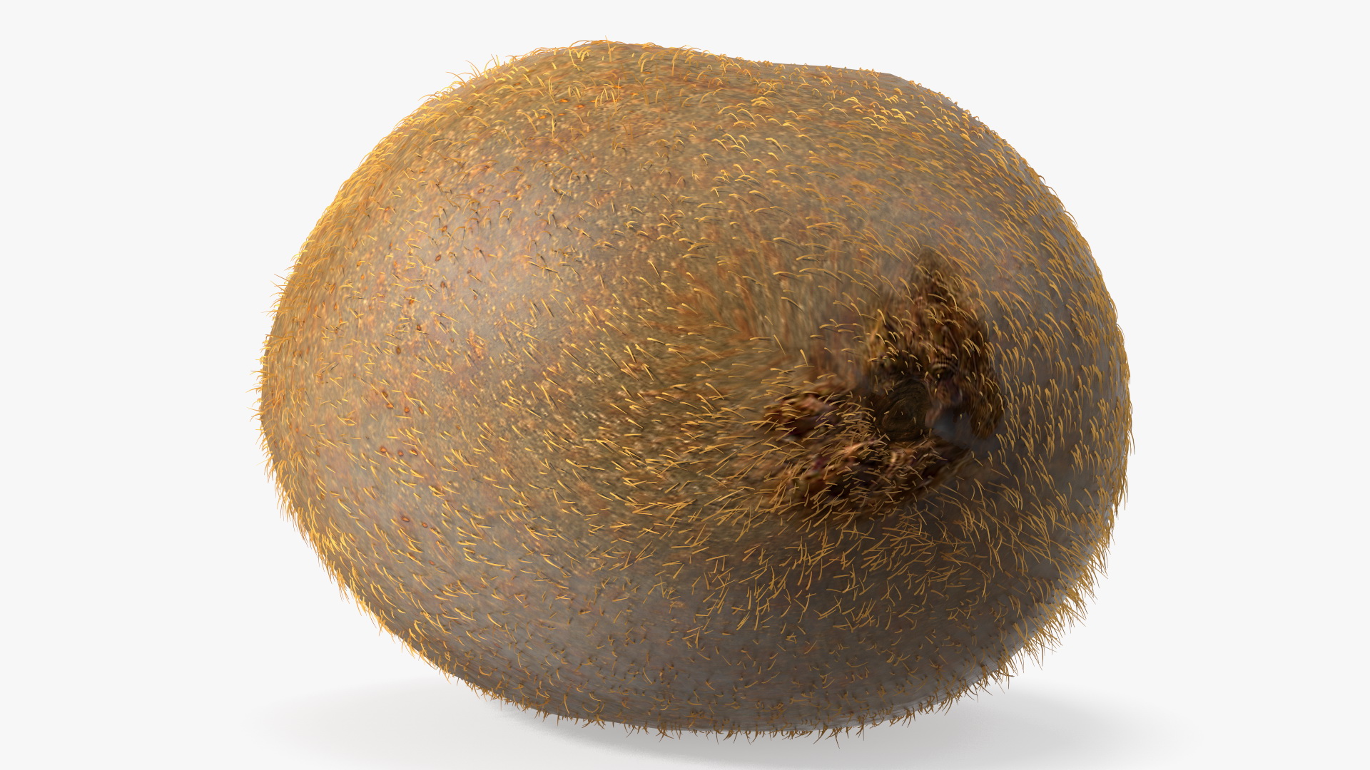 3D Tropical Fruit Kiwi with Fur model