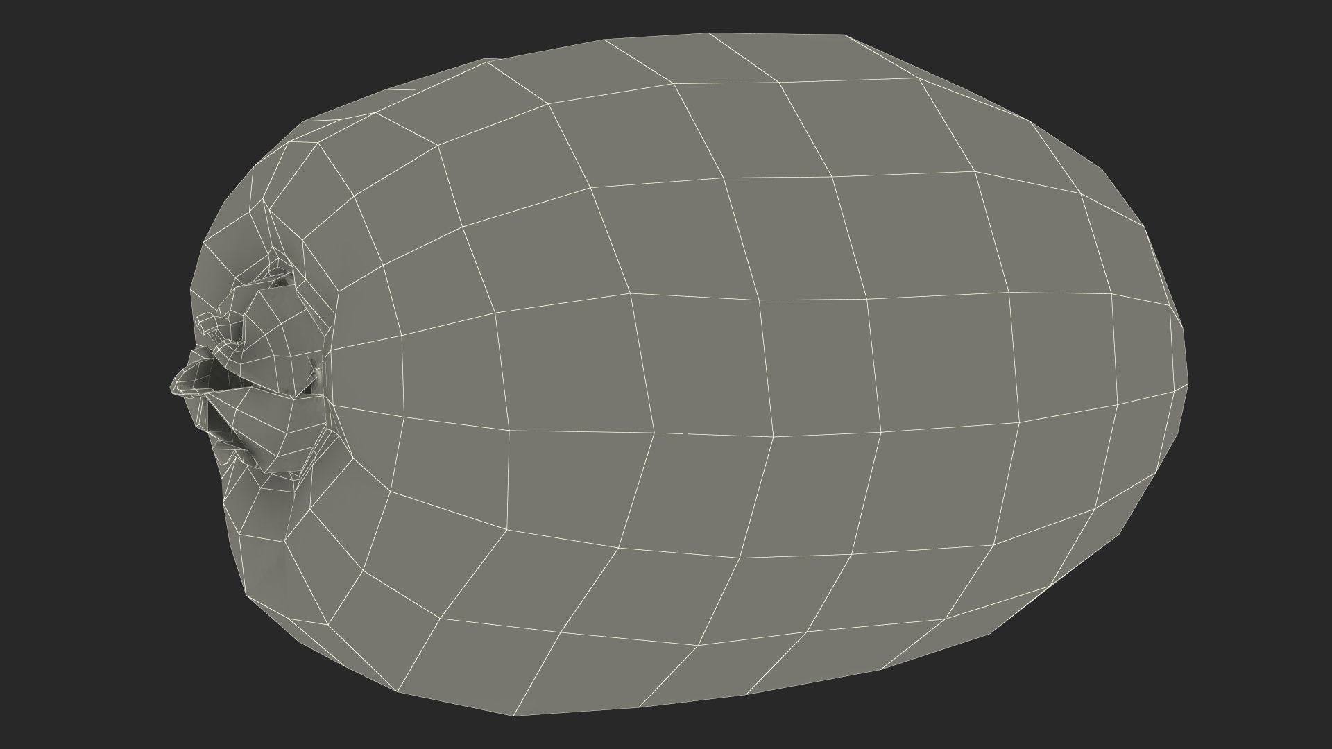 3D Tropical Fruit Kiwi with Fur model