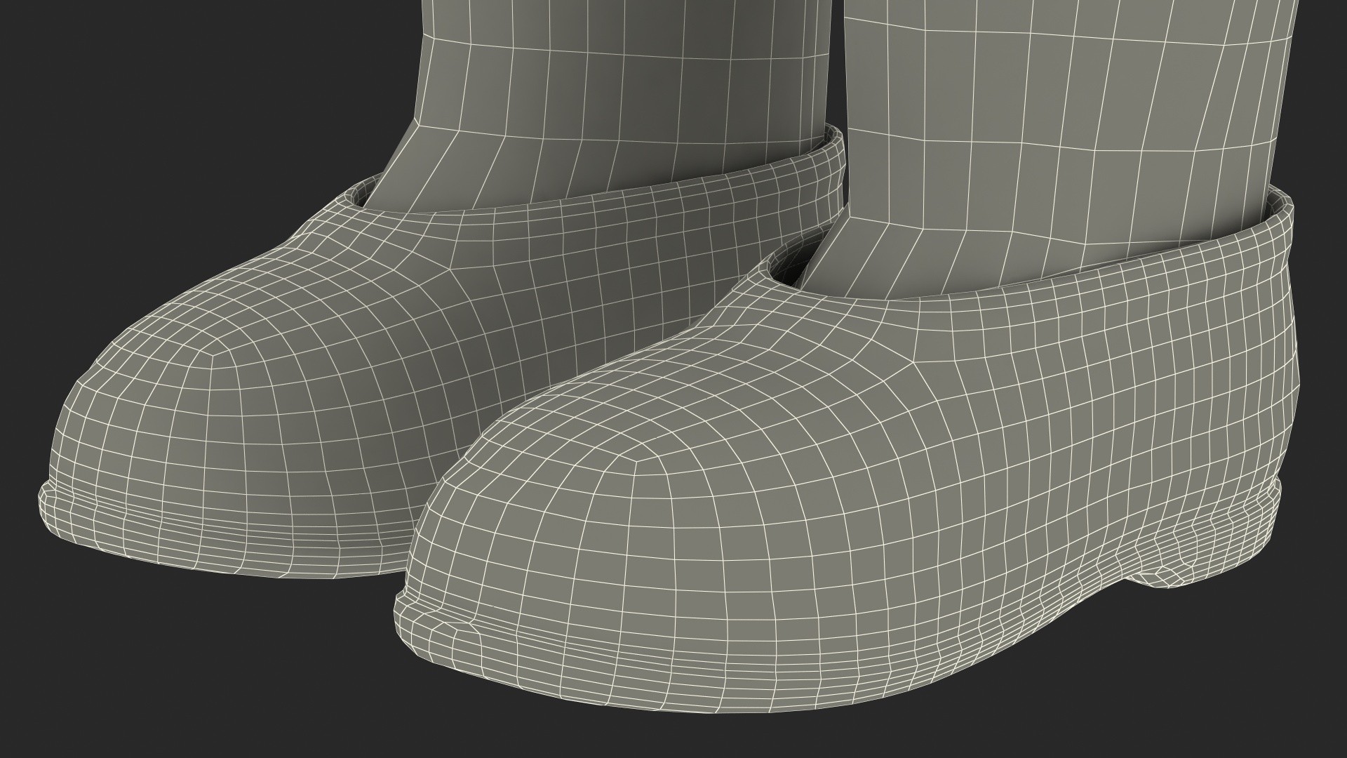 White Felt Boots With Rubber Waterproof Galoshes Fur 3D