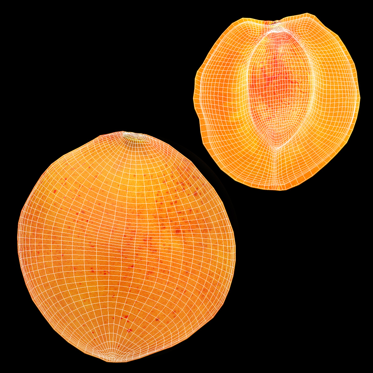 Apricot Cut in Half 3D model