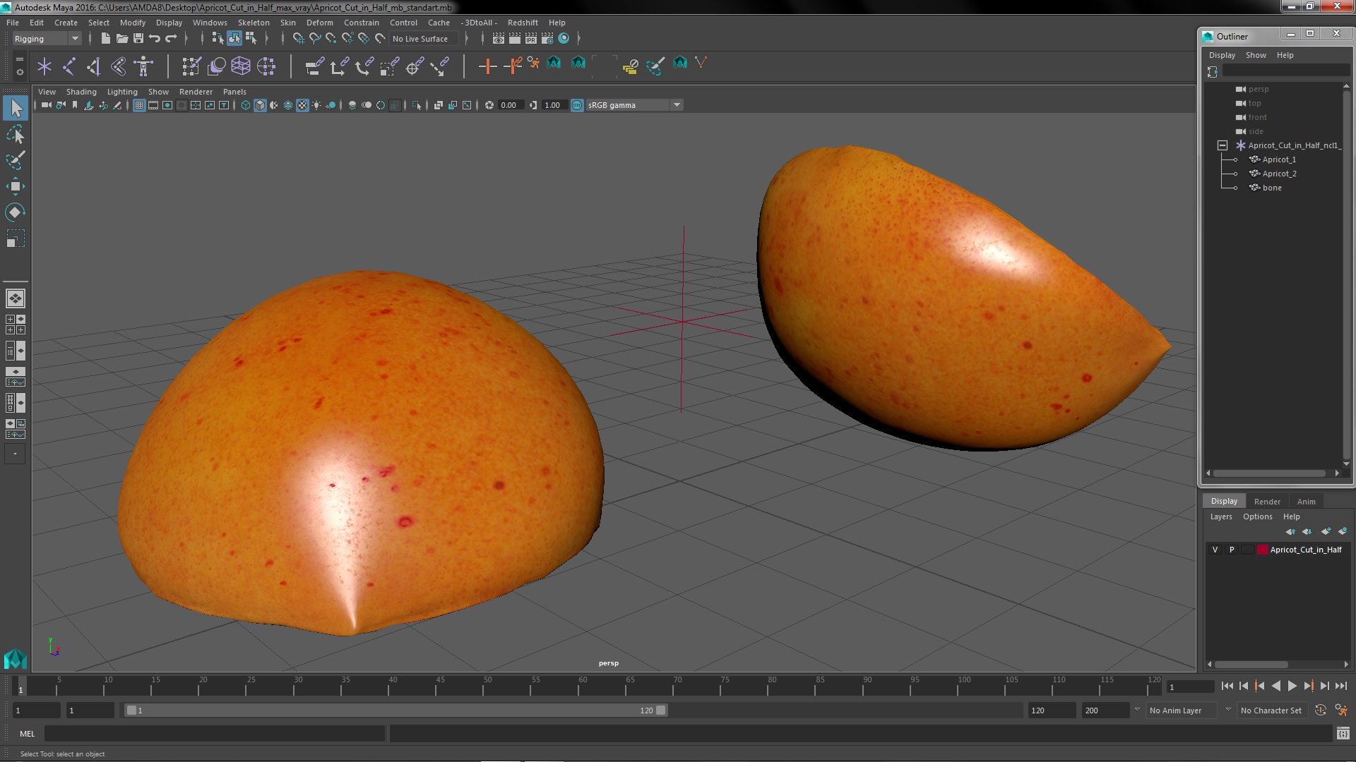 Apricot Cut in Half 3D model