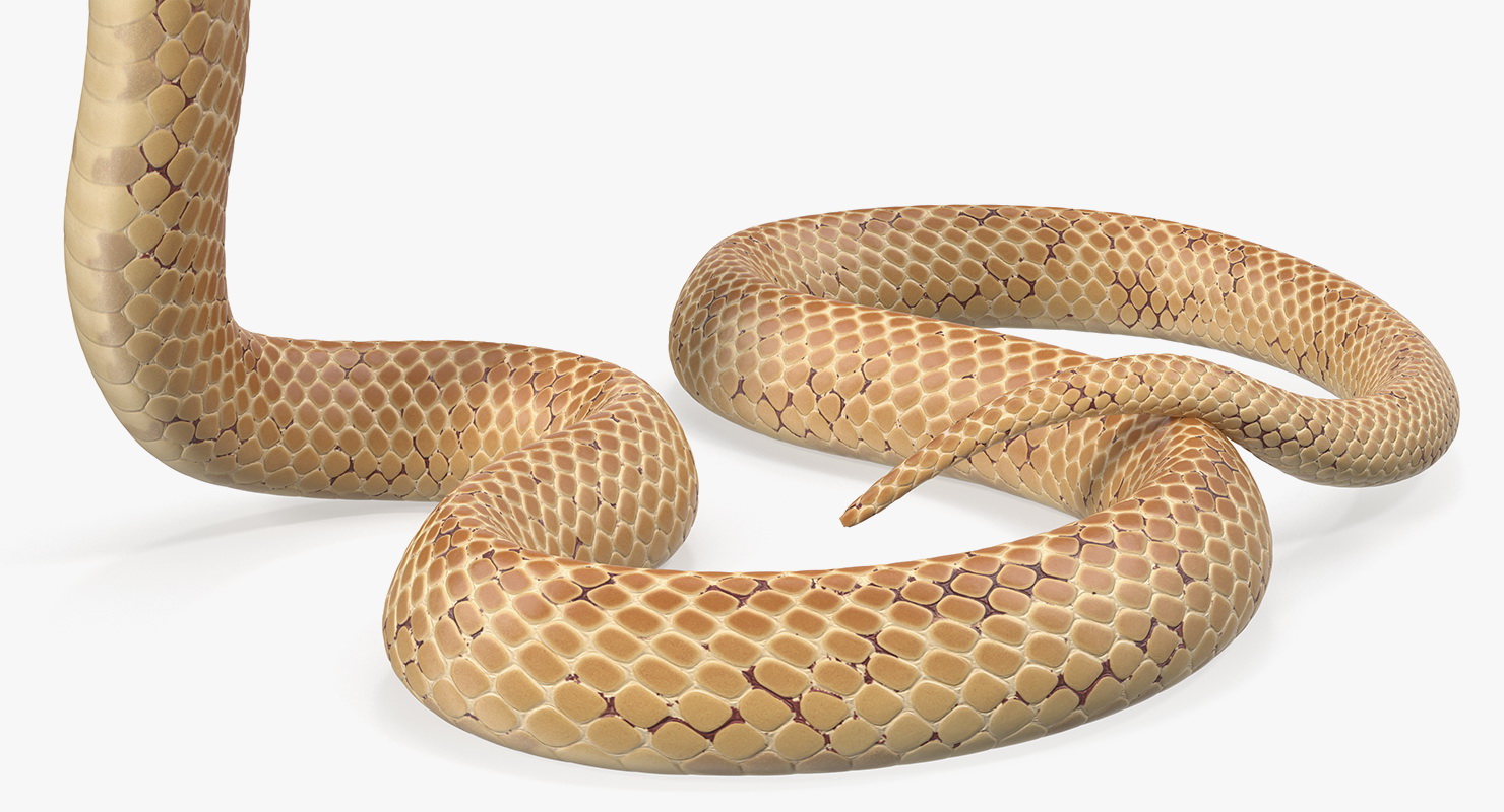 Cobra Light Skin Alert Pose 3D