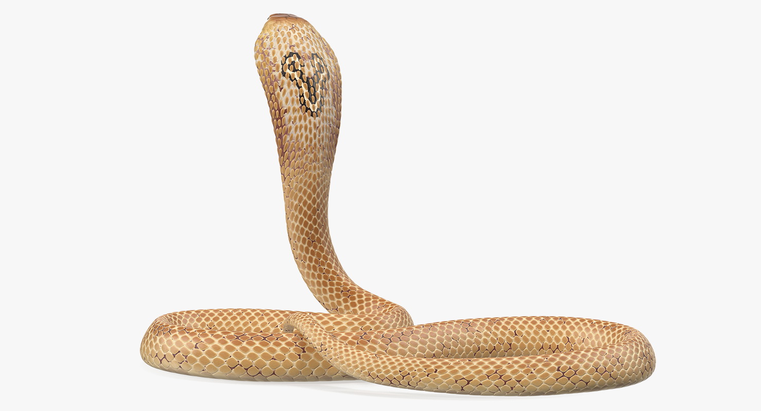 Cobra Light Skin Alert Pose 3D