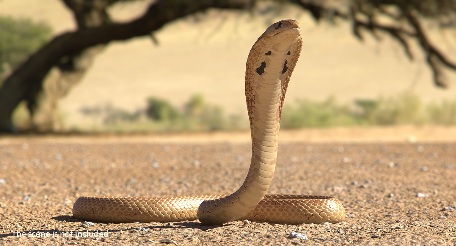 Cobra Light Skin Alert Pose 3D