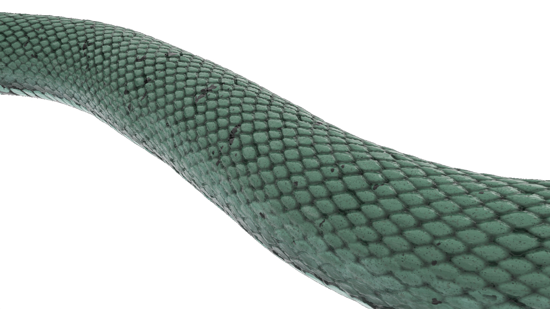 3D Grass Snake Green Rigged for Maya model