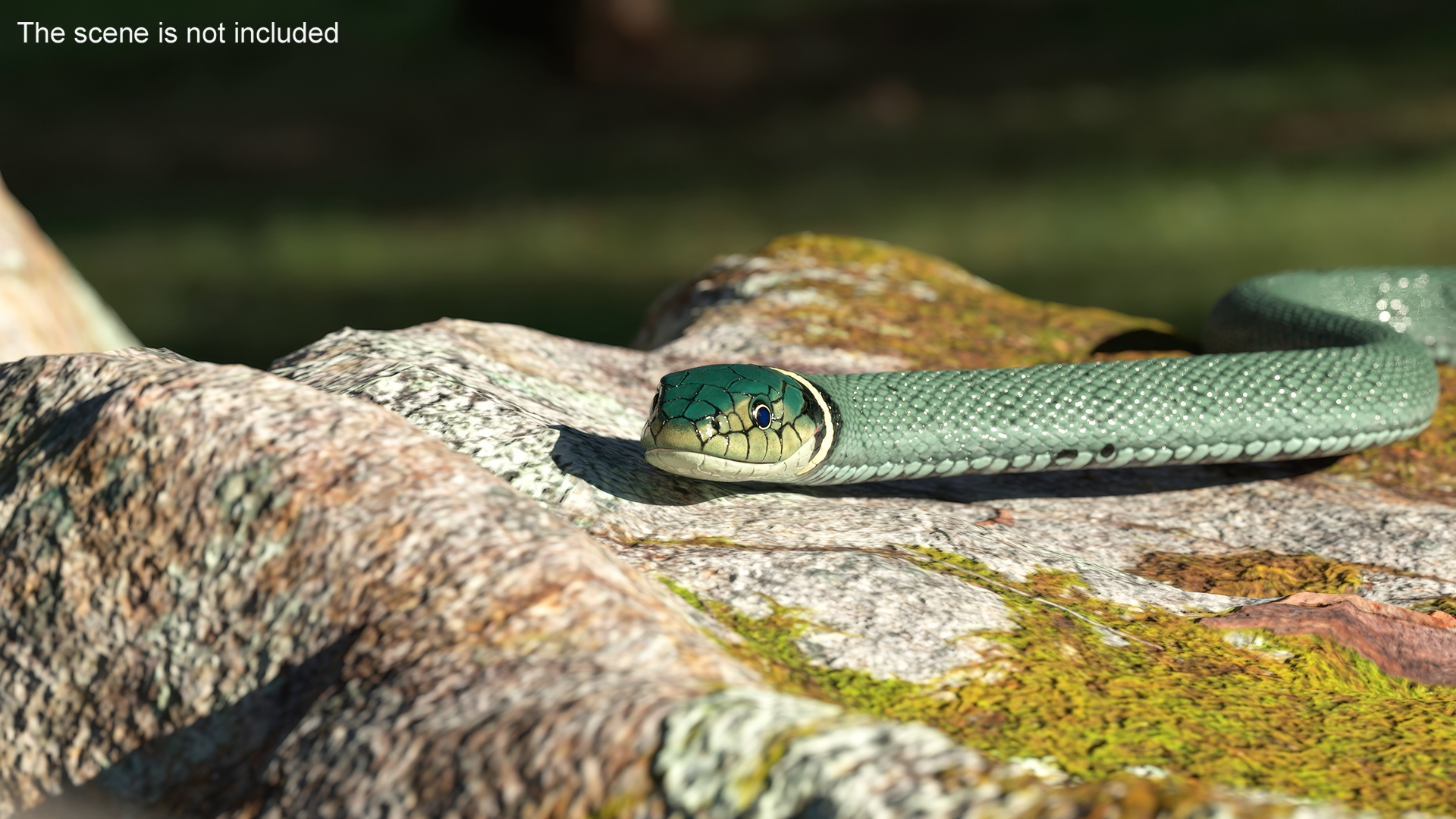 3D Grass Snake Green Rigged for Maya model