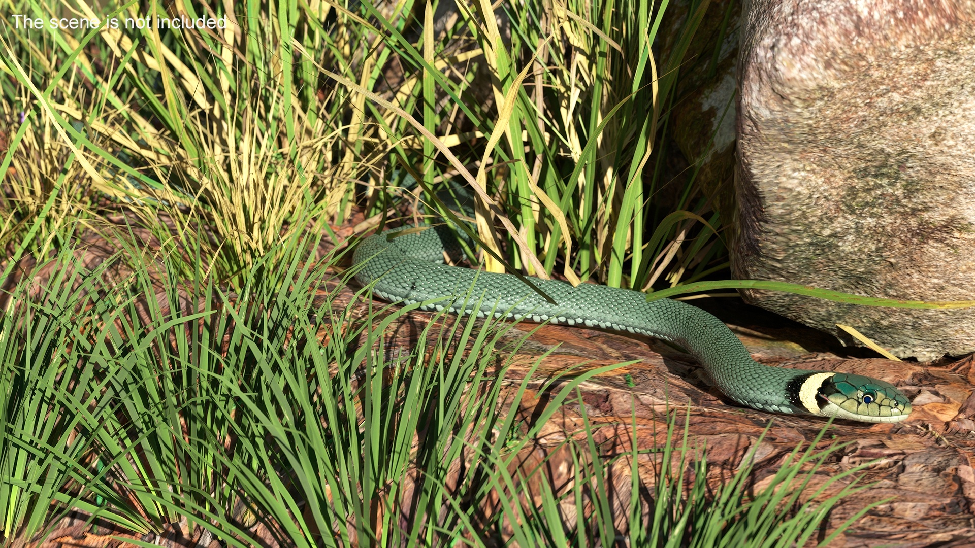 3D Grass Snake Green Rigged for Maya model
