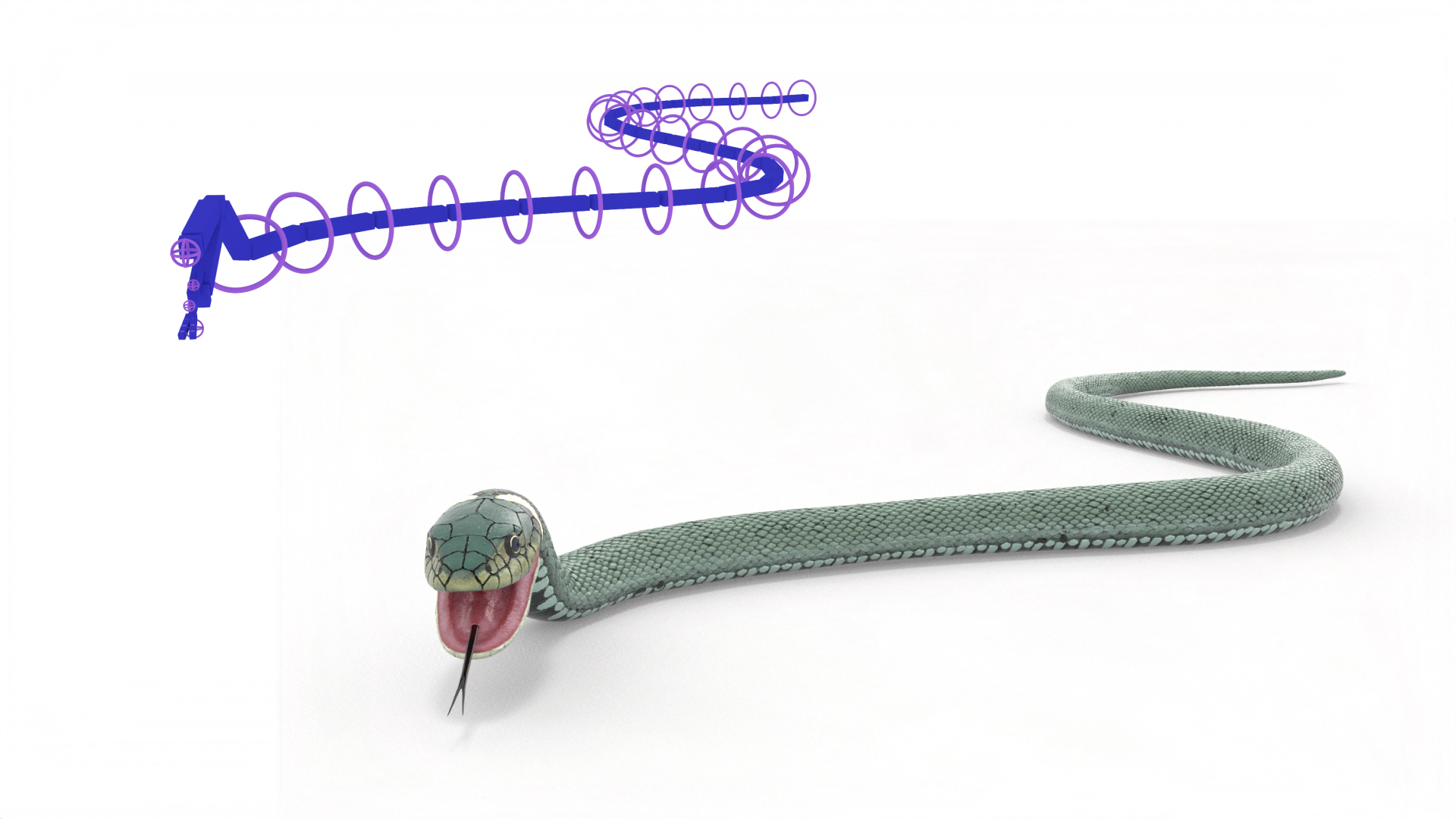 3D Grass Snake Green Rigged for Maya model