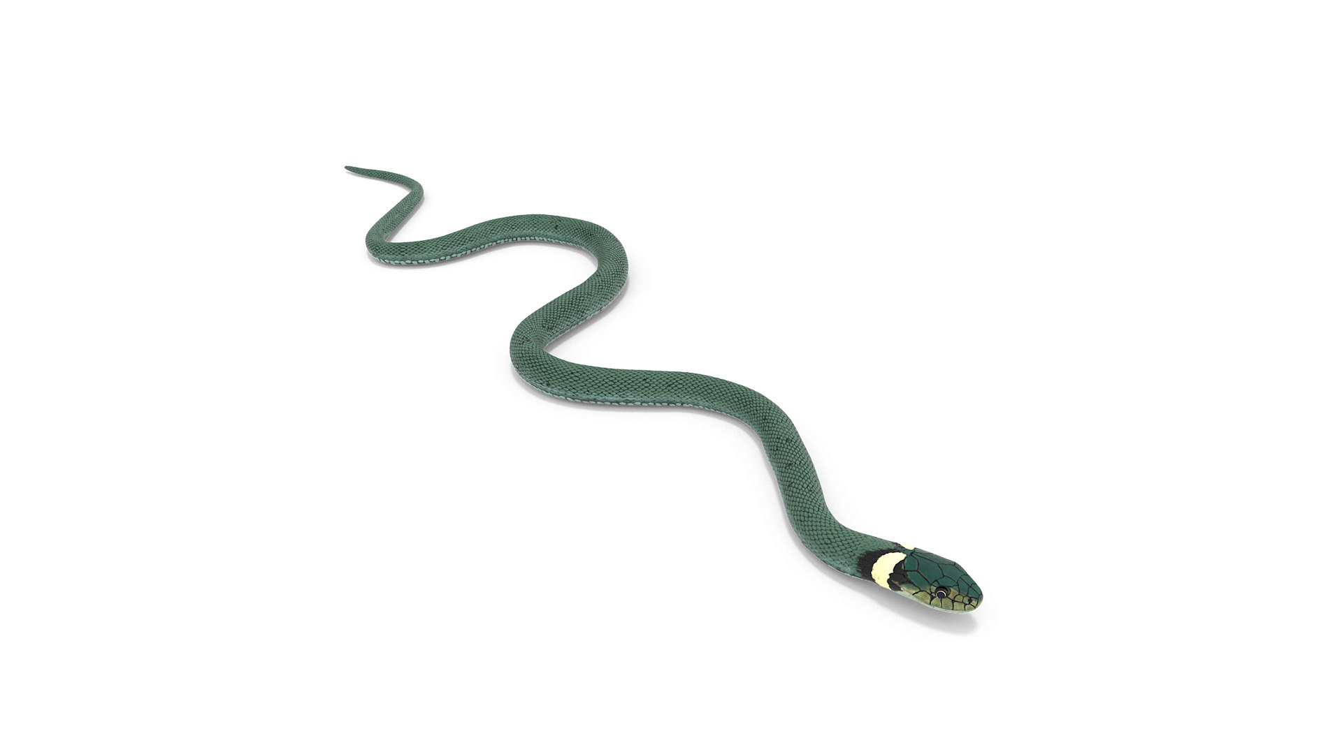 3D Grass Snake Green Rigged for Maya model