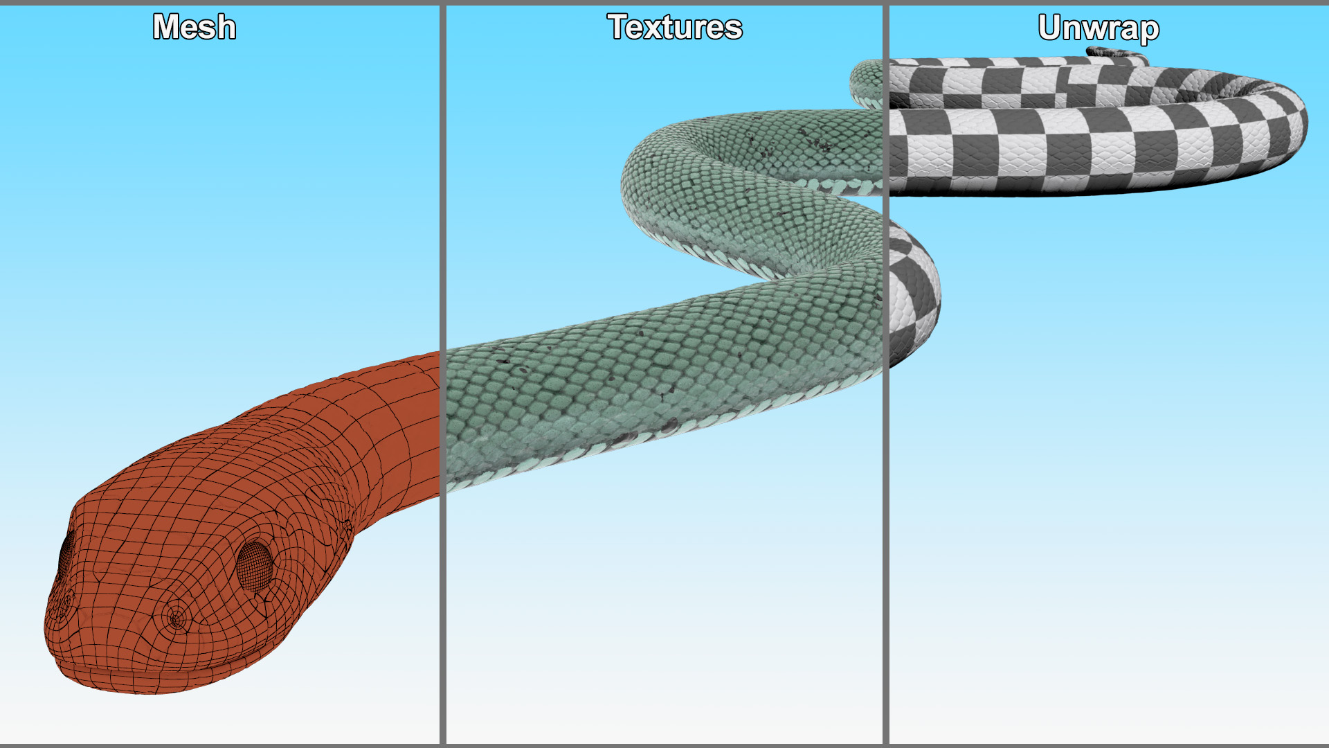 3D Grass Snake Green Rigged for Maya model