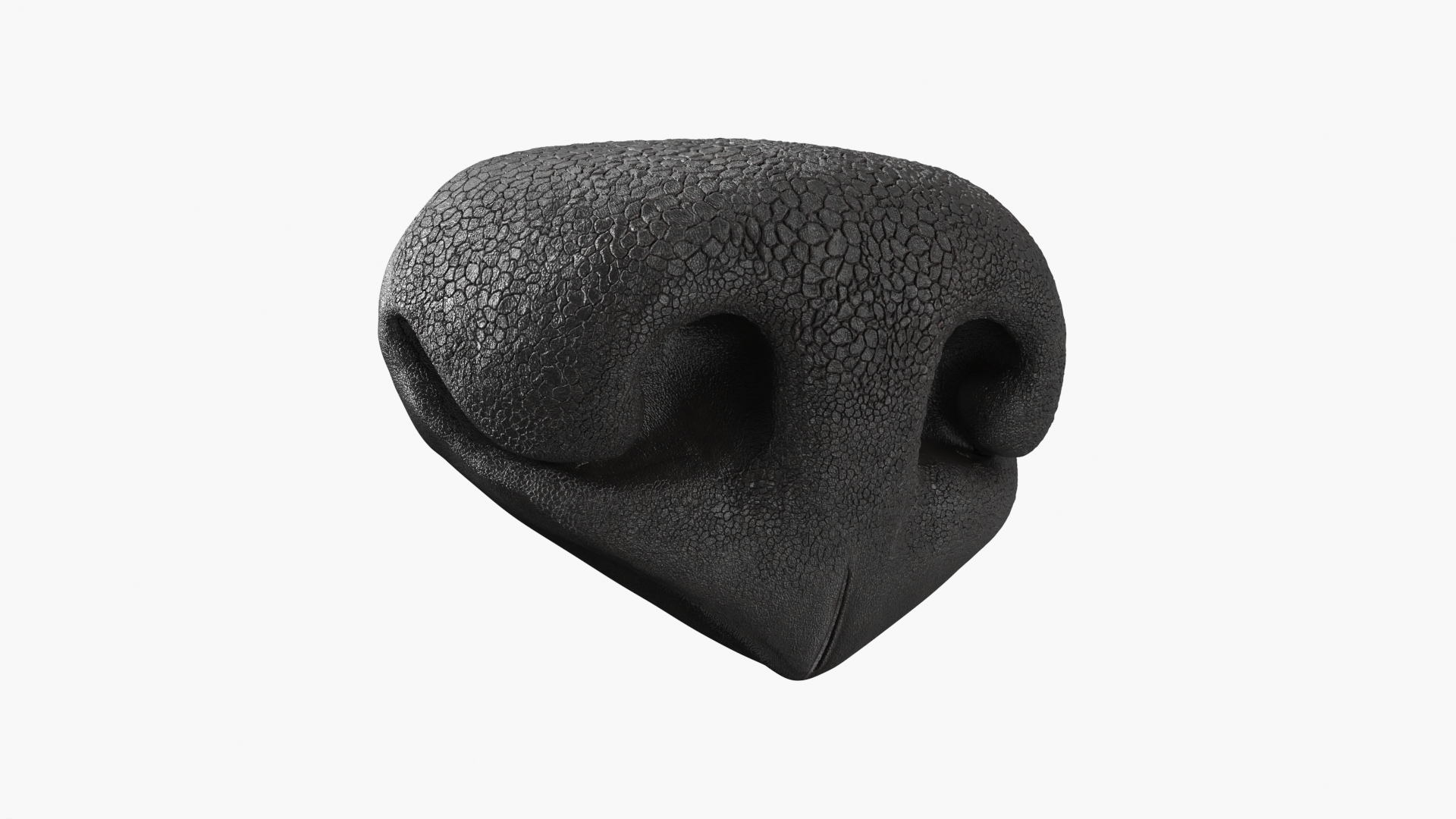 Dog Nose Macro Texture Black - view 3