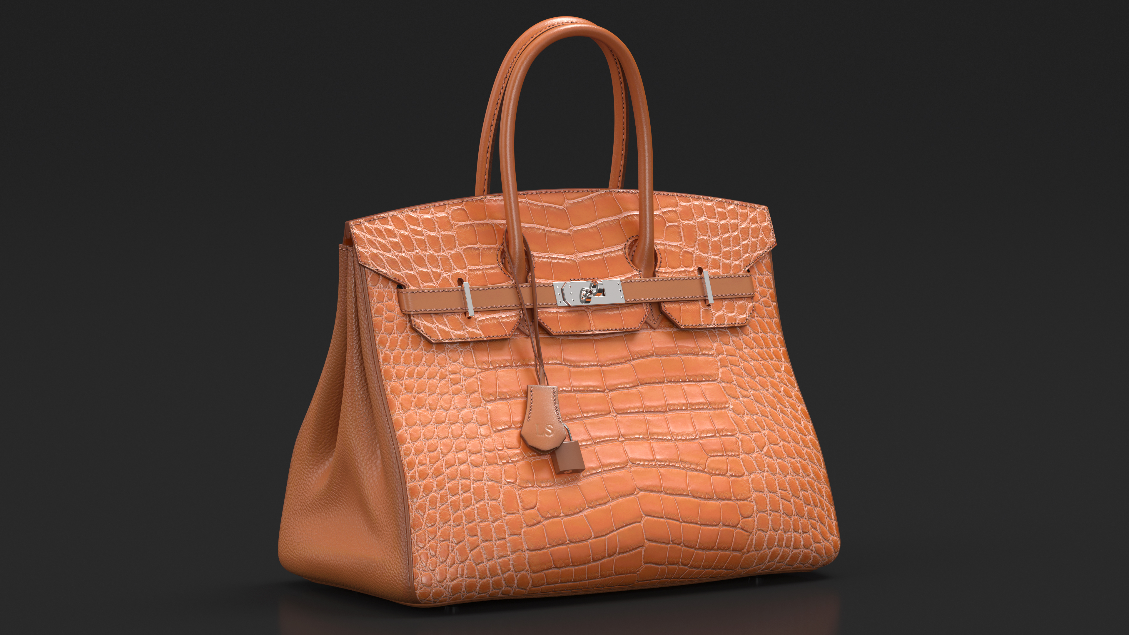 3D Womens Alligator Skin Leather Bag model