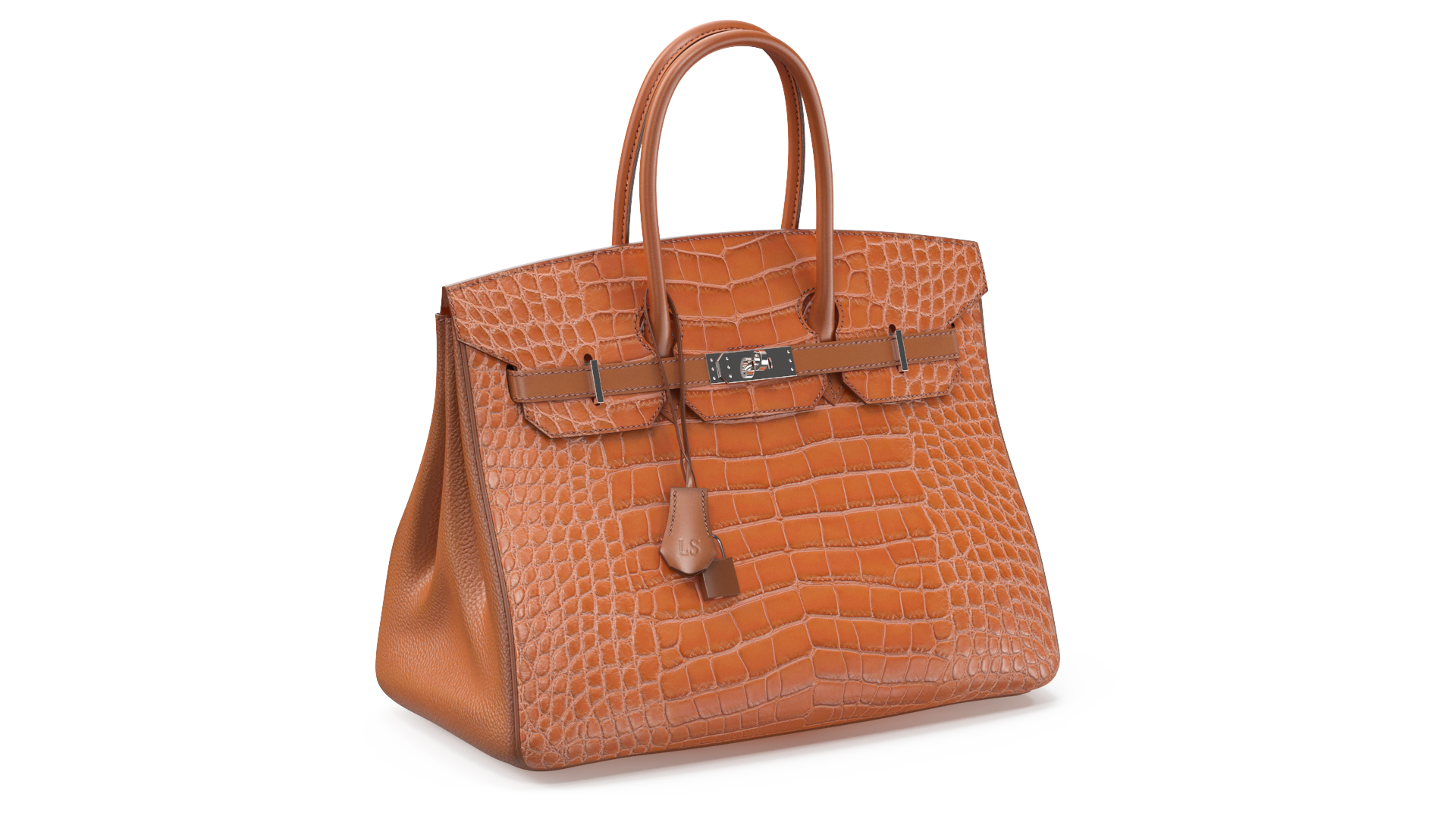3D Womens Alligator Skin Leather Bag model