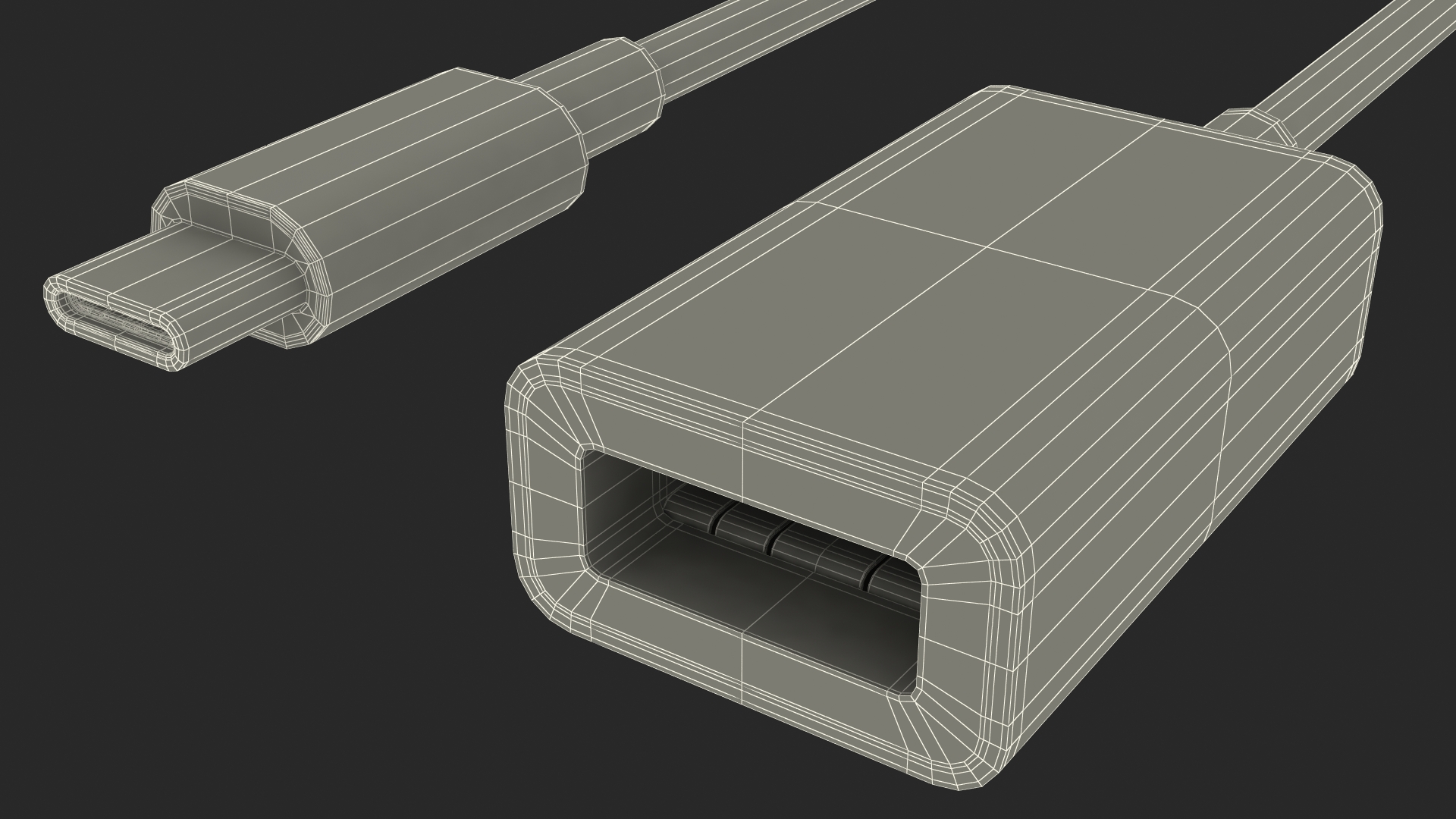 USB Type C to USB Type A Adapter 3D