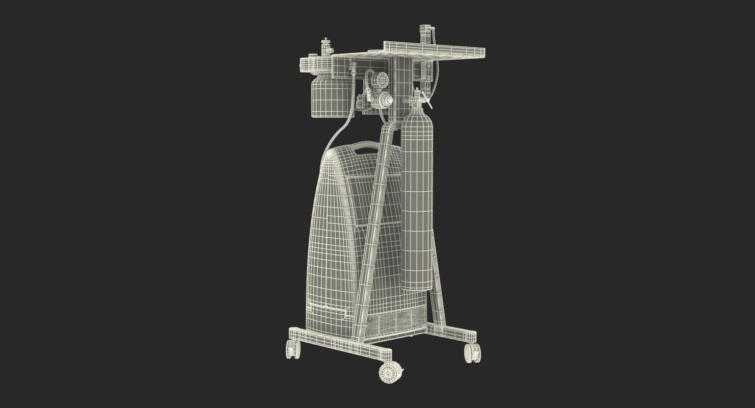 Oxygen Concentrator with E Tank Back Up 3D model