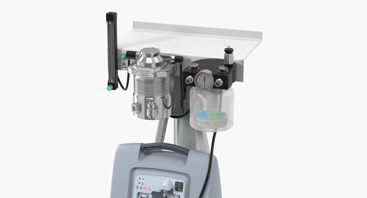 Oxygen Concentrator with E Tank Back Up 3D model