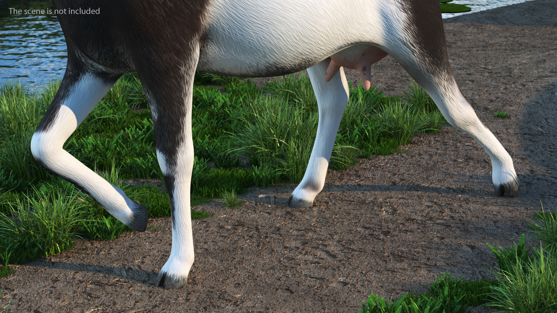 Walking Goat Black-White 3D model