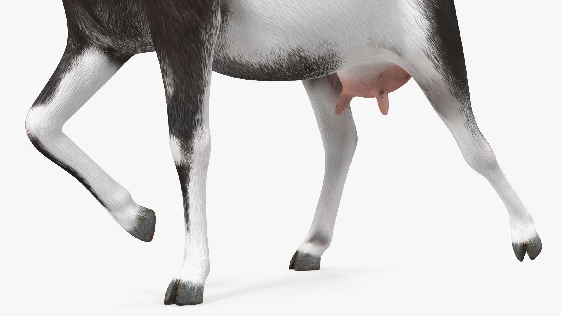 Walking Goat Black-White 3D model