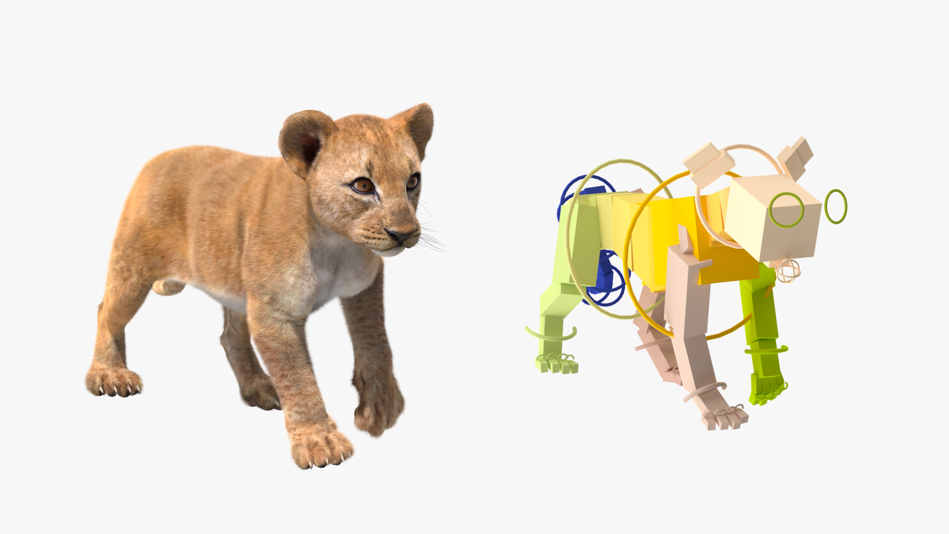 Lion Cub Fur Rigged 3D model