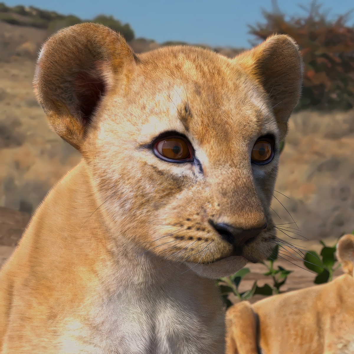 Lion Cub Fur Rigged 3D model