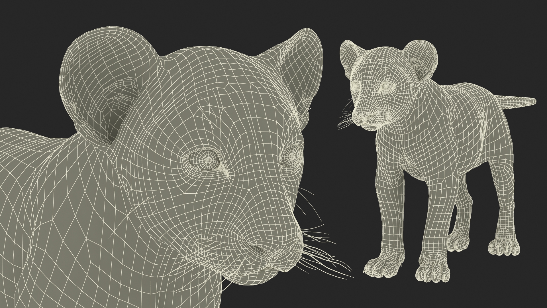 Lion Cub Fur Rigged 3D model